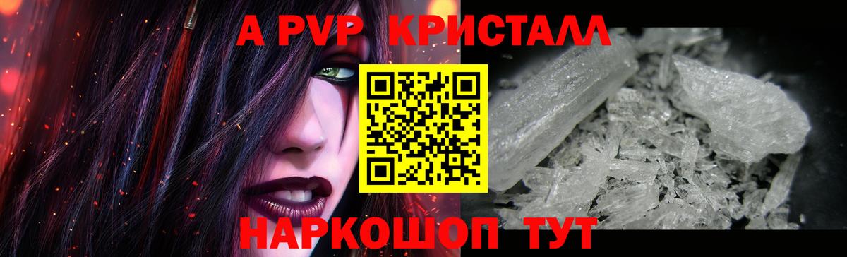 Альфа ПВП СК КРИС Урус-Мартан