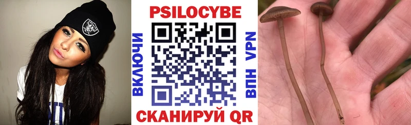 Галлюциногенные грибы Psilocybine cubensis  где купить наркоту  Урус-Мартан 