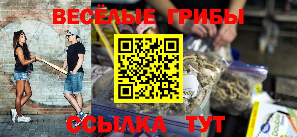 Галлюциногенные грибы Psilocybe Урус-Мартан