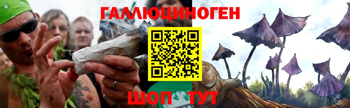 Урус-Мартан  Галлюциногенные грибы GOLDEN TEACHER  Вход с VPN 
